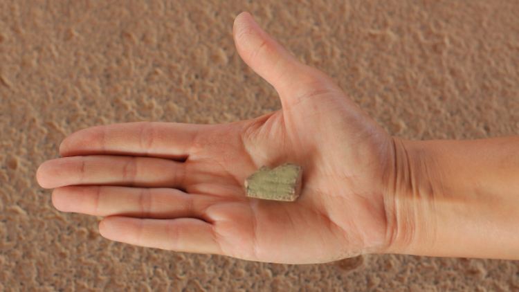 Womöglich kein Import aus Mesopotamien: der in Hazor gefundene Keilschrift-Text.