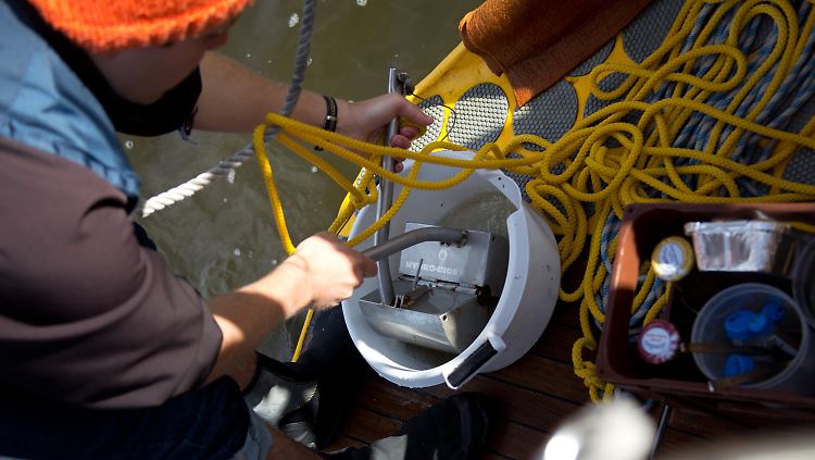 An Bord des Forschungsschiffs "Aldebaran" entnimmt ein Student eine Bodenprobe aus der Elbe. Das wissenschaftliche Projekt "Plarimar" untersucht Partikel von Plastikmüll in norddeutschen Flüssen und dem Wattenmeer.