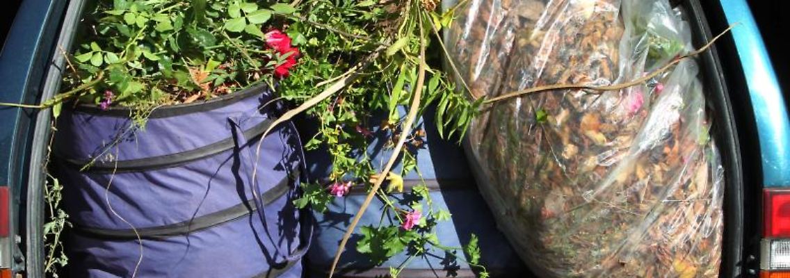 Wer den ganzen Gartenabfall nicht im Auto haben möchte, leiht sich besser einen Anhänger. Für das Fahren mit Gespann ist jedoch etwas Übung erforderlich. Foto: Karl-Josef Hildenbrand/dpa