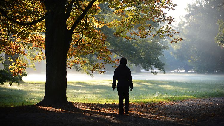 Ein Spaziergang im Wald? Für viele Städter ein Wunschtraum.