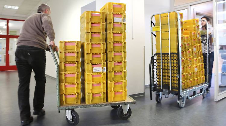 Kistenweise Demokratie: Die Mitarbeiter des Wahlamtes Köln-Kalk haben schon jetzt gut zu tun.