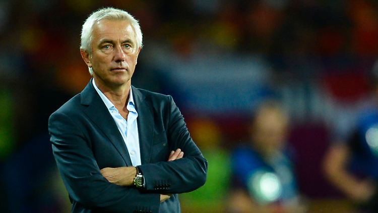 Bert van Marwijk soll beim HSV in Zukunft weitere sportliche Miseren verhindern.