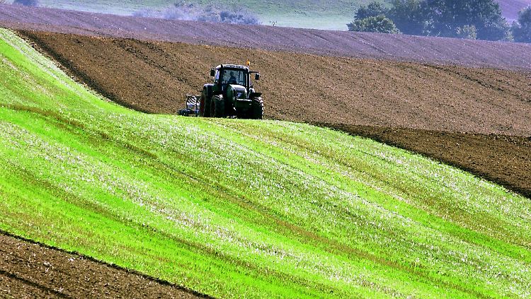 Nur Deutschland geht bei der Agrarreform einen Sonderweg.