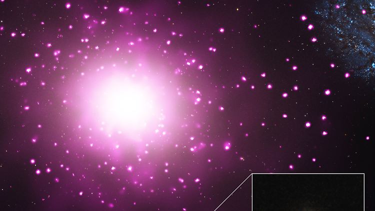 Die Galaxie M60-UCD1 hat eine Sternendichte, die rund 15.000 Mal höher ist als in unserem Bereich der Milchstraße.