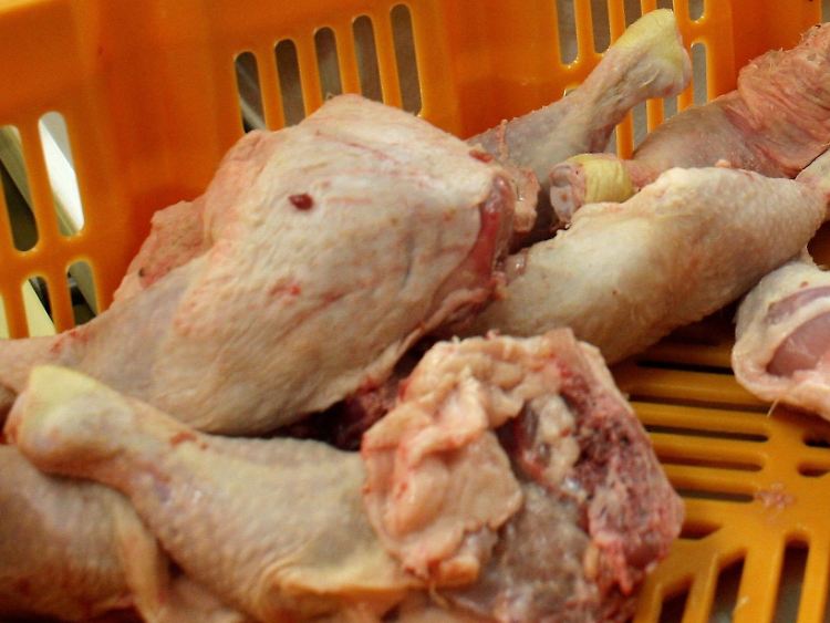 Hähnchen.jpg
