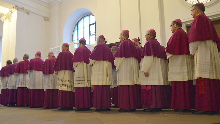 "Die Frau ist für die Kirche unabdingbar", meint der Papst. Hier folgt Mann auf Mann auf Mann ...