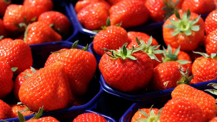 Der Umweg für die Erdbeeren wäre zwar nur minimal gewesen, der Versicherungsschutz war trotzdem dahin.