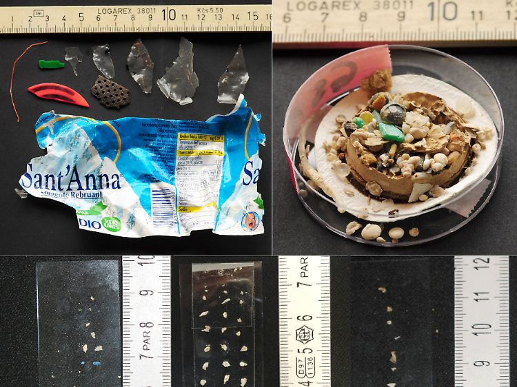 Größere Plastikstücke werden durch Wasser und Strand in kleinste Teilchen gerissen und zerrieben.
