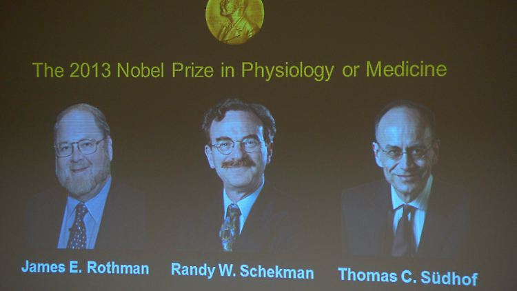 Mit der Medizin beginnt der Reigen der diesjährigen Nobelpreis-Bekanntgabe.
