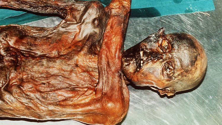 Auf rund 5250 Jahre schätzen Forscher das Alter der Mumie aus den Alpen -  dafür ist sie noch erstaunlich gut erhalten. 