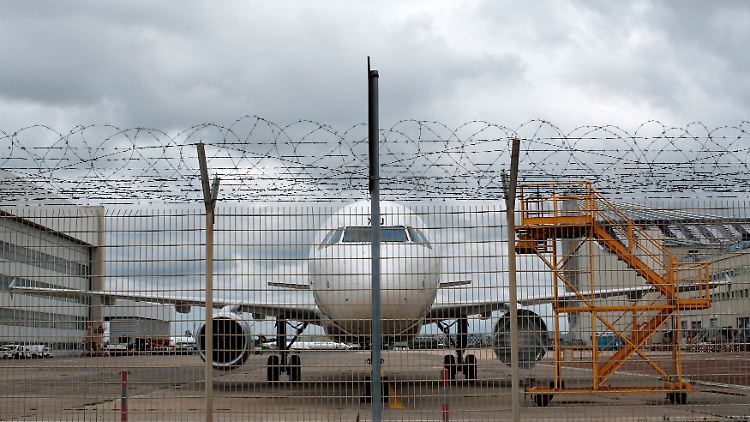 Darf wohl weiter in die Lüfte steigen - die italienische Airline Alitalia.