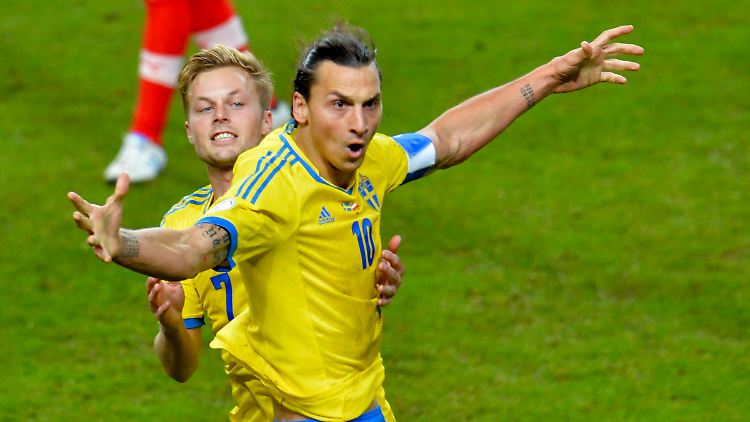 Na wie habe ich das gemacht? Zlatan Ibrahimovic freut sich über sein Tor gegen Österreich. 