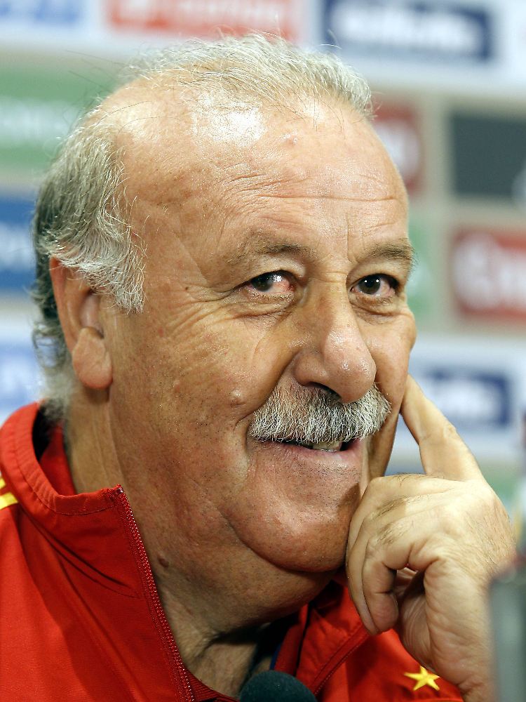 Spaniens Nationalcoach Vicente del Bosque hätte Costa gern in seinem Team.