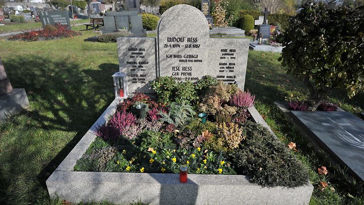 26005280.jpg