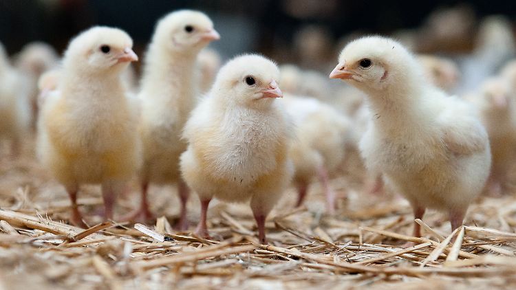 Die Aktien kleinerer Unternehmen sind etwas aus dem Blick geraten.