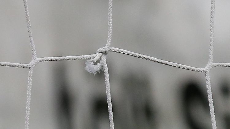 Ganze 4,5 Kilo bringt das Netz auf die Waage.