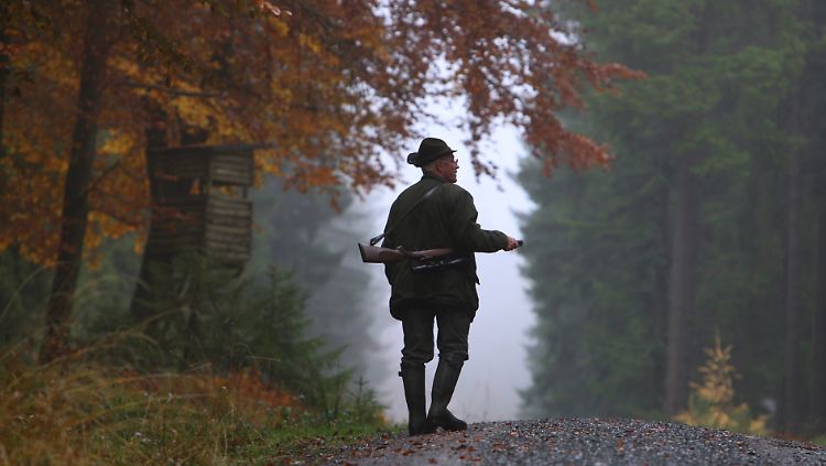 Die Jagd auf die 15.000er Marke ist wieder eröffnet.