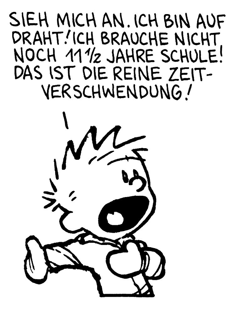 Schule? Wozu Schule? Calvin weiß es nicht - Hobbes schon. Klicken für den gesamten Strip.