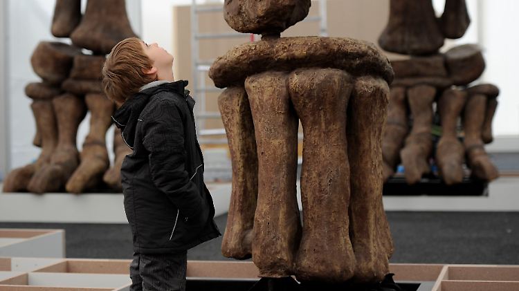 Eine Junge vor den Füßen eines 8 Meter hohen und 18 Meter langen Argentinosaurus in einer Ausstellung in Bonn. (Archivbild von 2009)