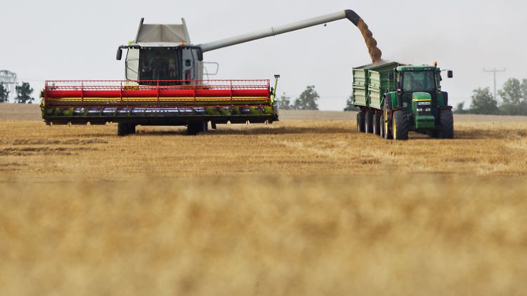 Die vergleichsweise größeren landwirtschaftlichen Betriebe im Osten Deutschlands sind historisch gewachsen.