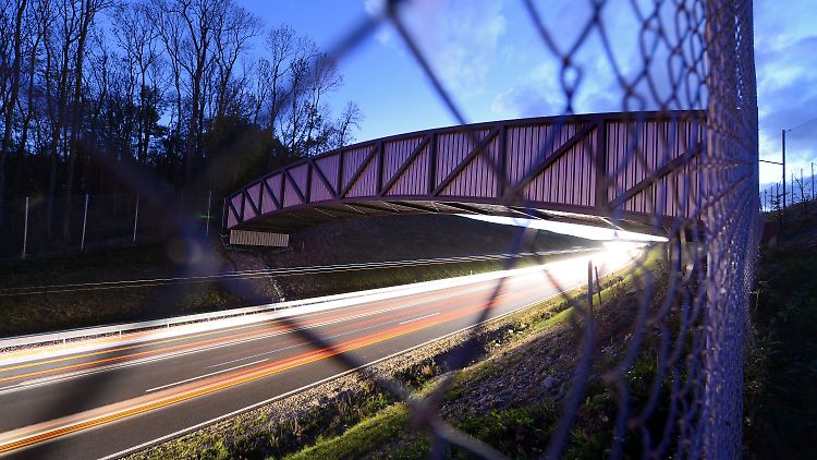 Nur für Fledermäuse: Die Brücken sind weder für Radfahrer noch für Fußgänger zugelassen.
