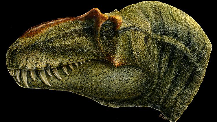 Der Lythronax argestes, Verwandter des Tyrannosaurus rex, könnte Rekonstruktionen zufolge so ausgesehen haben.