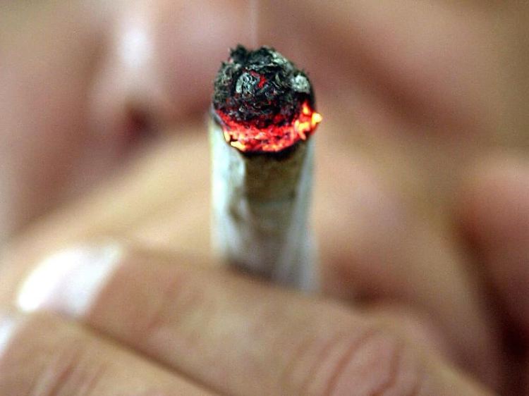 Cannabis gilt zu Unrecht als "weiche Droge": Heutzutage ist es in deutlich höheren Konzentrationen erhältlich als früher.