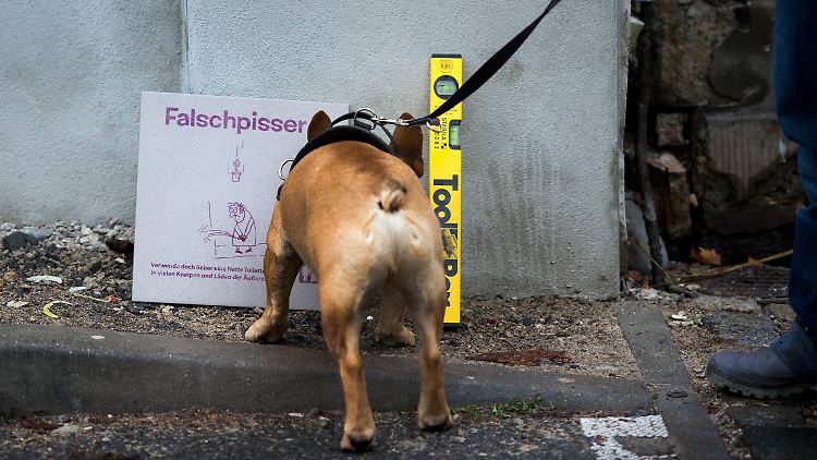 Er hier kann nicht lesen - und wird trotzdem weiter sein Geschäft verrichten.