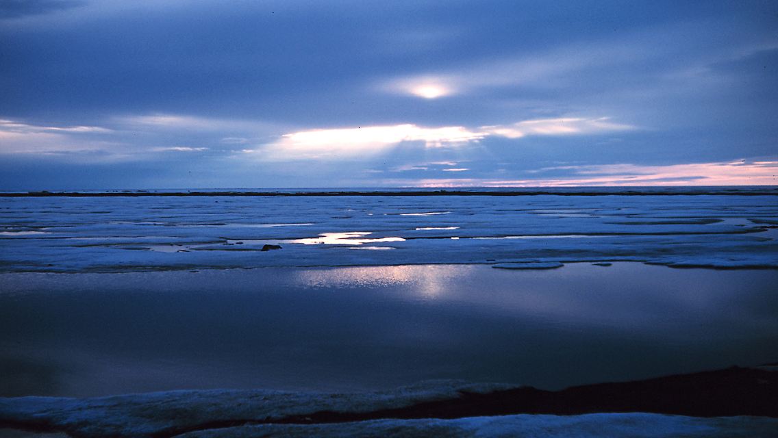 NOAA_arctic_spring_1950_corp1104.jpg