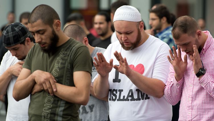 Anhänger des radikal-islamischen Predigers Pierre Vogel demonstrierten Anfang November in Frankfurt am Main.