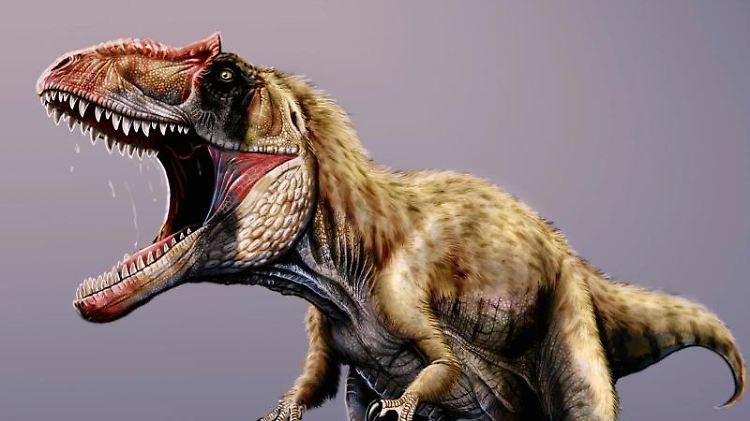 Der T.Rex gilt als König unter den Saurier.