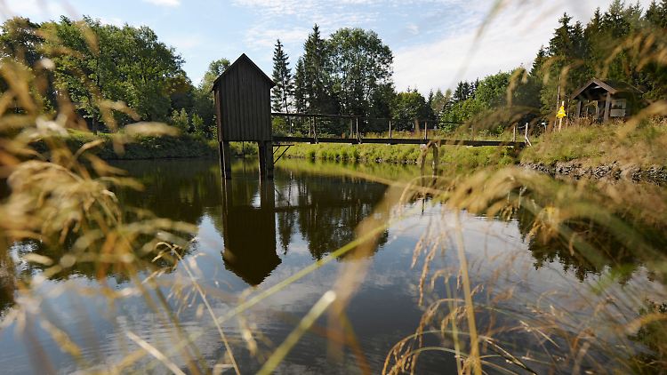 Teich mit Striegelhaus in Clausthal-Zellerfeld.