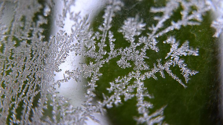 Winterromantik: Erste Eisblumen künden von den kommenden kalten Monaten.