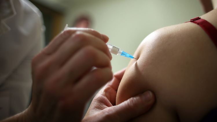 Der Grippeimpfstoff setzt sich in diesem Herbst aus den drei aktuell am häufigsten auftretenden Influenza-Virustypen zusammen. Auch das Schweinegrippevirus H1N1/California/2009 ist enthalten.