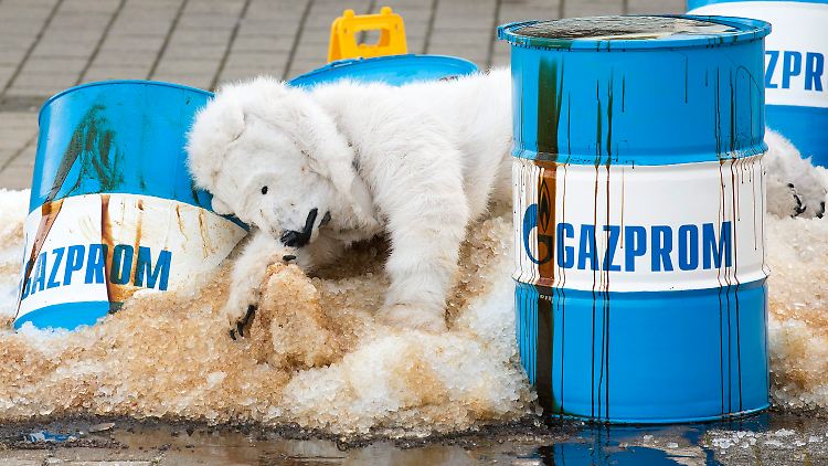 Die vermeintlichen Eisbären wälzen sich in ölgetränktem Kunstschnee.