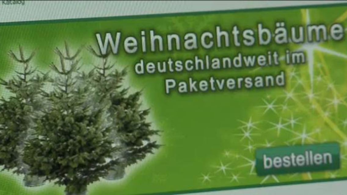 baum.JPG