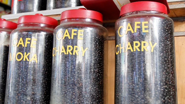 Kaffee-Bauern können nur schwer auf andere Nutzpflanzen umschwenken.
