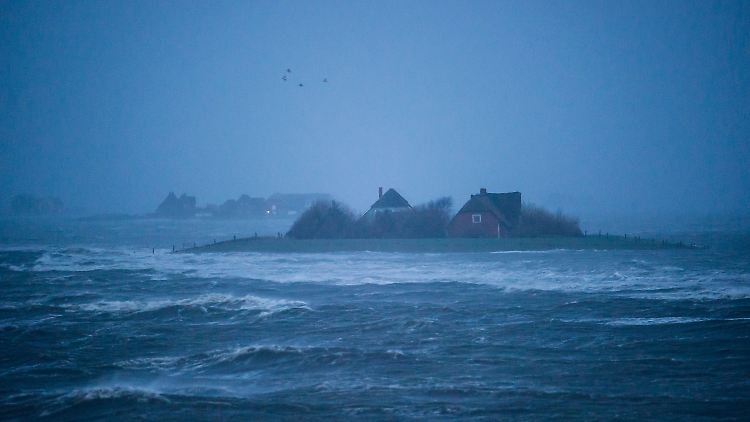 Für das Leben auf den Halligen muss man geschaffen sein.