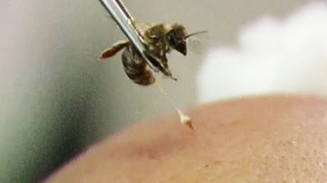 Bienenstich.JPG