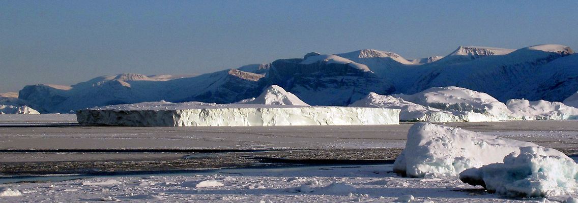 Das Eis der Arktis schmilzt.
