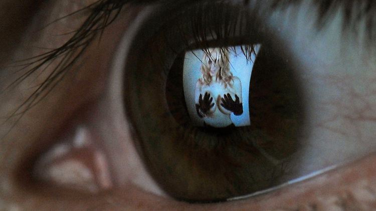 Sehr viele Menschen sehen Pornovideos im Internet, aber kaum einer würde es zugeben.