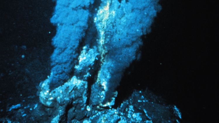 Ein "Schwarze Raucher" im Atlantischen Ozean. Die Schlote der Heißwasserquellen sind im Durchschnitt  zwischen 20 und 25 Meter hoch. 