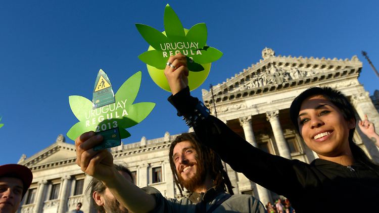 Feiern das neue Gesetz: Pro-Marihuana-Aktivisten vor dem Kongressgebäude in Uruguays Hauptstadt Montevideo