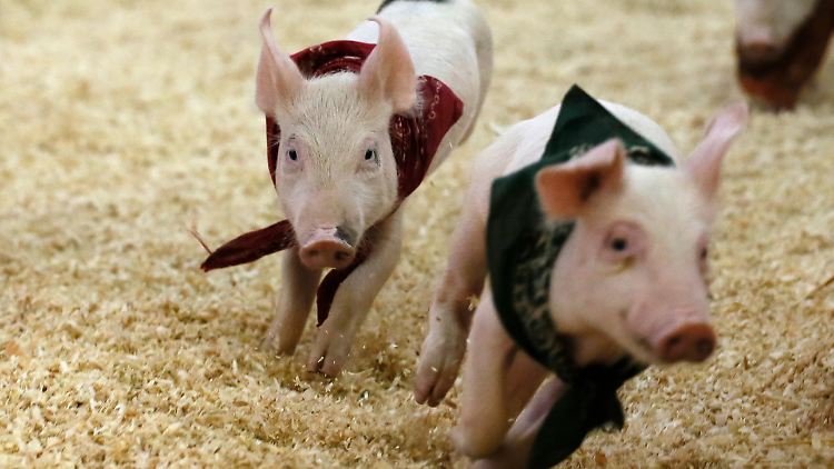 Der US-Markt liegt auch dank der Schwergewichte Apple und Google vorne. Werden sie 2014 nochmal Schwein haben? 