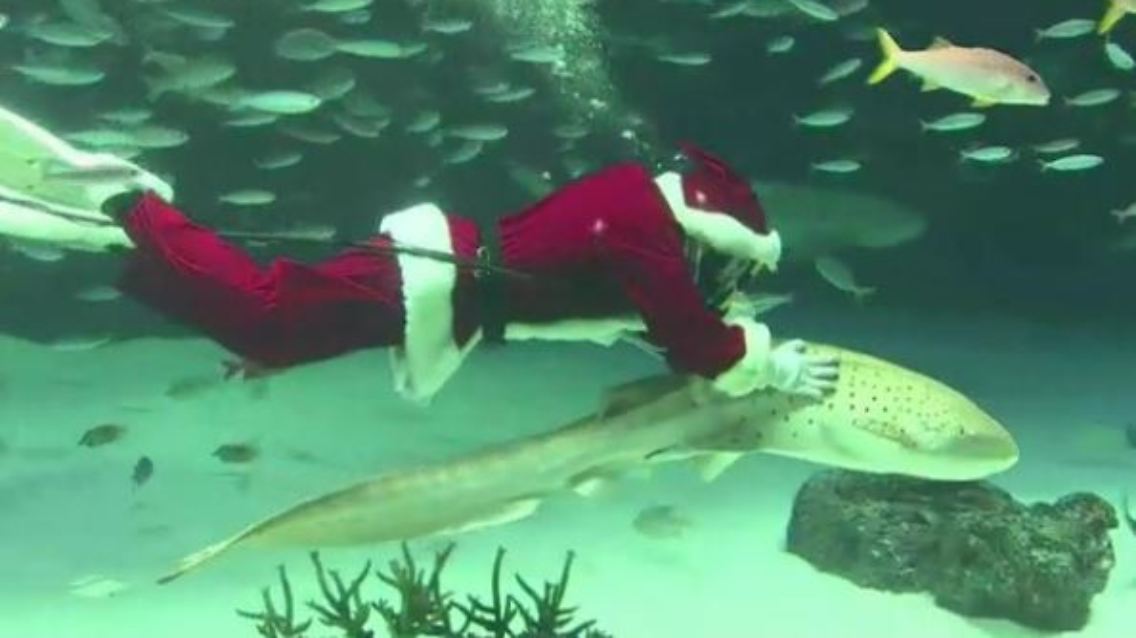 santa.JPG