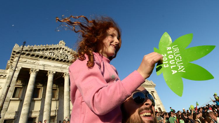 Spontane Freude äußerten viele Uruguayer nach der Bekanntgabe der Cannabis-Legalisierung - doch auch in dem lateinamerikanischen Land ist das Gesetz umstritten.