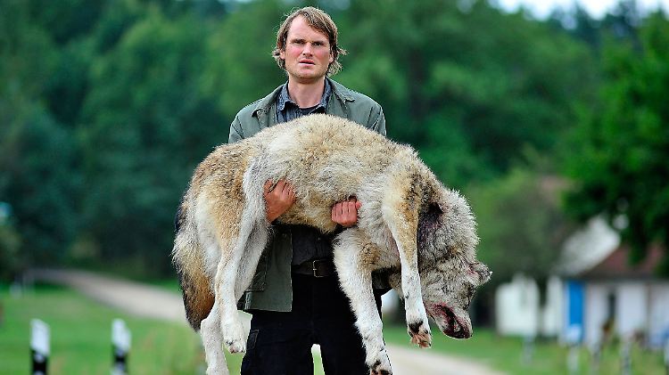 Der Täter und sein Opfer: Stephan Waldner (Fabian Hindrichs) trägt einen toten Wolf durch den Ort.