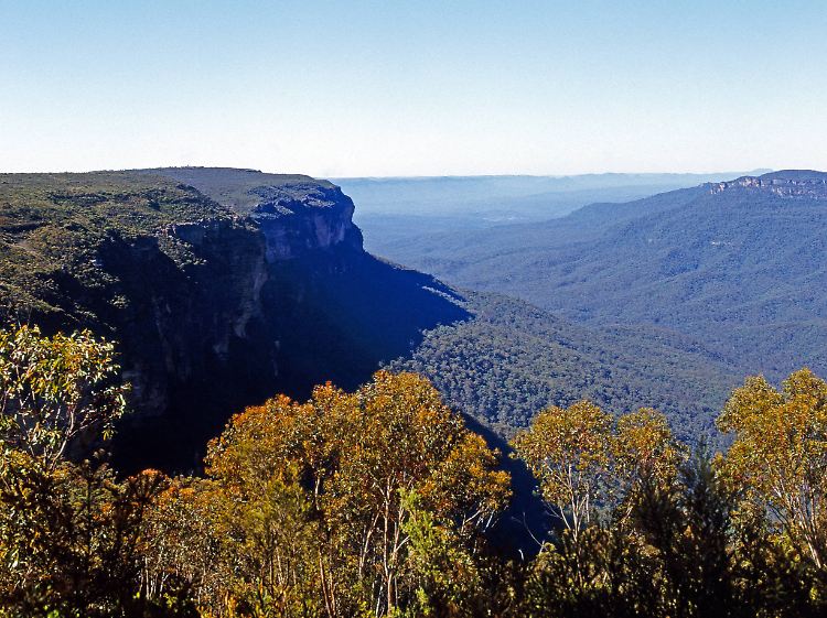 Irgendwo im australischen Bundesstaat New South Wales lebte die Inzest-Familie.