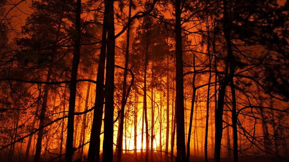 Waldbrand vor Moskau: Wer derzeit nach Russland reisen will, sollte sich beim Reiseveranstalter nach möglichen Risiken erkundigen