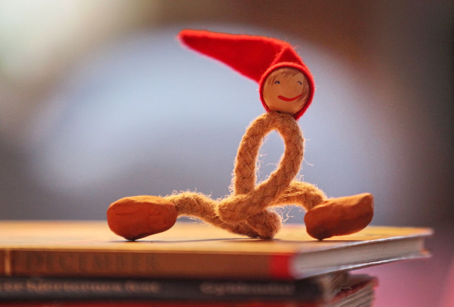 Was für ein Geschenk kann gleichzeitig persönlich, anregend, tröstend, erleuchtend, unterhaltend und witzig sein? Richtig: ein Buch! Bücher gehören immer noch zu den beliebtesten Geschenken zu Weihnachten. 